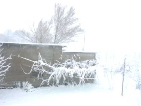 neve anzola 31.1.2010