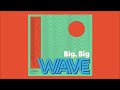 BIG BIG WAVE A Compilation From Hattiesburg 2022 Full Feral Kid Album