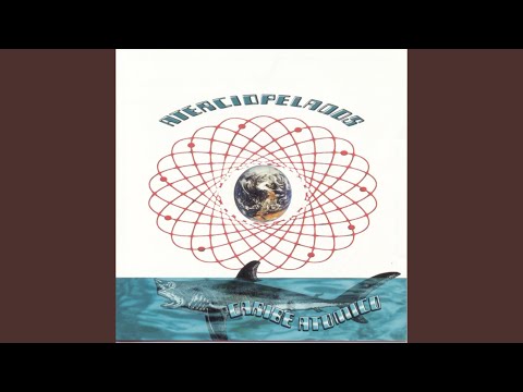 El Desinflar De Tu Carino - Aterciopelados