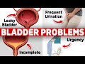The 1 Vitamin Deficiency Behind Bladder Issues Freq Urination Leaky Urgency