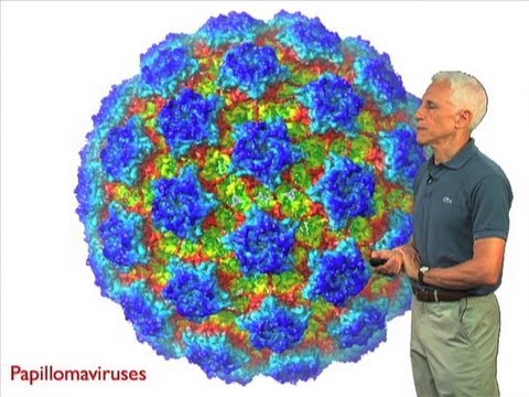 veszélyes papillómák a szemhéj számára milyen paraziták élnek az emberi test kezelésében