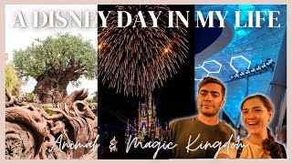 Animal Kingdom Day | Happily Ever After 2023 | TRON at night | Extended Evening Hours Magic Kingdom