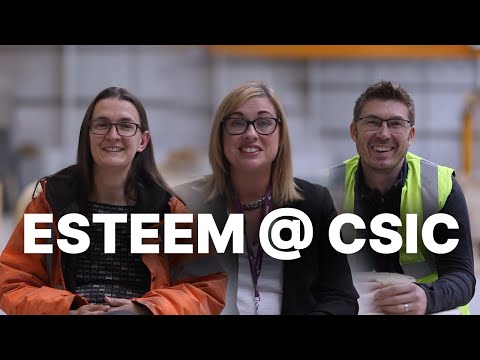 Constructing CLT Panels at CSIC!