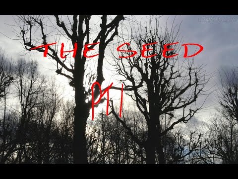 SO DAMN DARK! AMNESIA CUSTOM STORYtime THE SEED pt 1