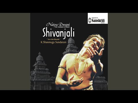 Swami Naan Undan Adimai - Nattakurunji - Adi (Varnam)