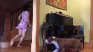 Running with Bella and Athena