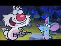 Nature Cat Bumblebee Bee Opening