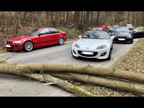 A group of cars almost crashed into a fallen tree (M3, MX5, 330i, MR2)