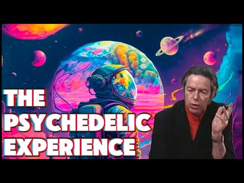 Alan Watts: The Psychedelic Experience Explained