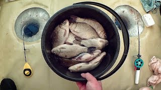 На что ловить карася и чем его подкармливаться
