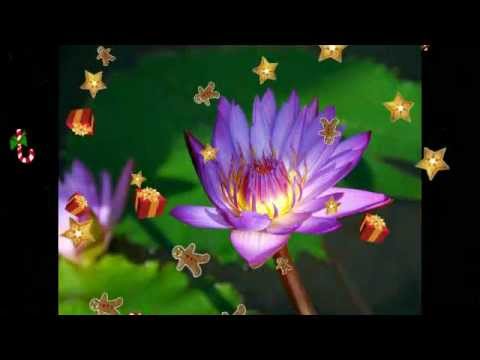 Excellos Five - Loca