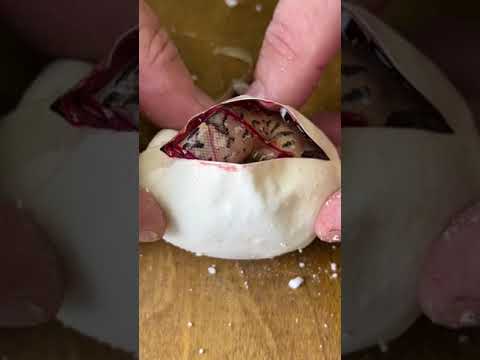 SNAKE EGGS HATCH #shorts #short