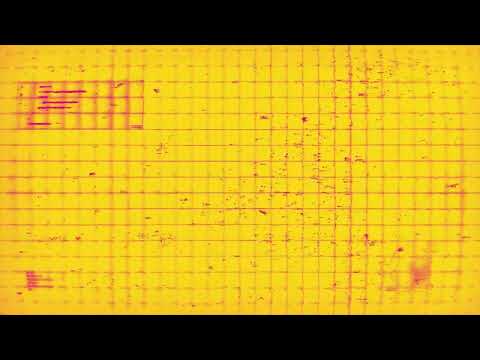 Savenger - Goose