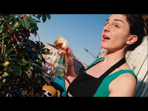 "FORREST GUMP" Vs Confinement (Scène des Crevettes Vs Les Pâtes) - avec Anne Cordin