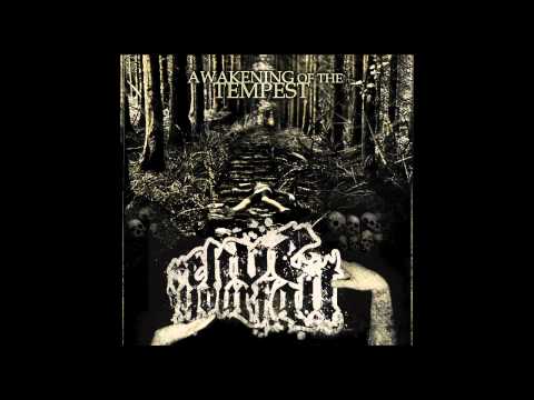 RELIVE YOUR FALL   Forward to nothing