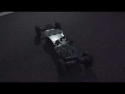 Raldey Wasp Electric Mountainboard