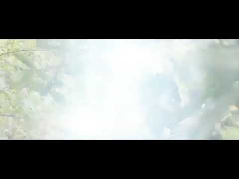 Diamond Platnumz ft Safi Madiba