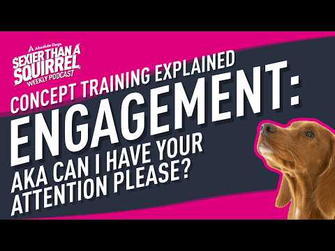 Concept Training Explained: Engagement