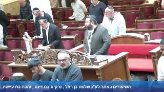 הרב אייל עמרמי - תפילת מנחה וערבית - י' אייר תשפ"ו