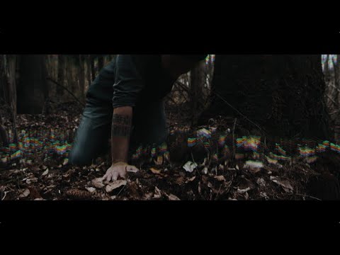 Mindead - Hollow World (official music video) online metal music video by MINDEAD