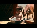 Babies Look For It On Blu Ray DVD Digital Download And On Demand