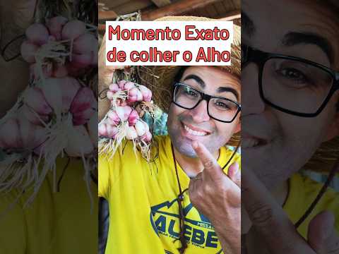 Discover the RIGHT TIME to Harvest GARLIC 🧄