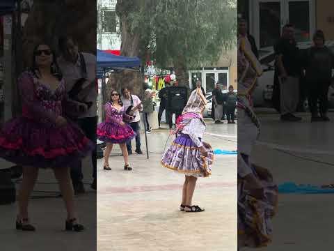 25/07/26 Copiapo/Atacama/Chile #viral #travel #video #vacaciones #shorts #reels #huayno #atacama