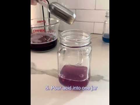 Joaquin: Red Cabbage PH Lab