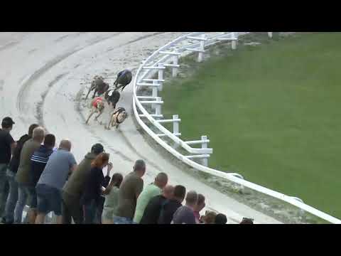 2023.06.16 5. FUTAM - KINCSEM PARK SPRINT DERBY NEGYEDDÖNTŐ I. FUTAM