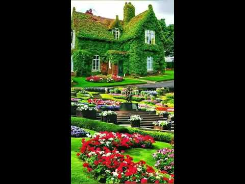 ДОБРОЕ УТРО !!! . ДЛЯ НАСТРОЕНИЯ !!!