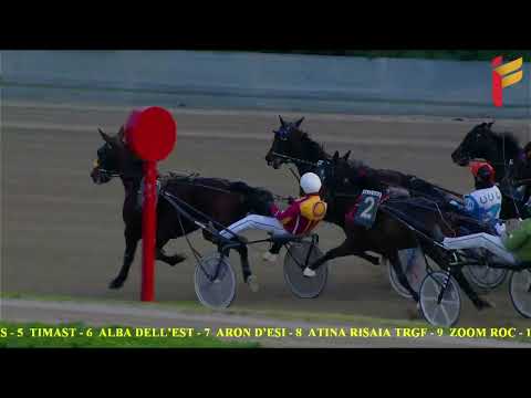 VI corsa del 11 dicembre 2022 - 5 Anni ed oltre  - Metri 1600 - Gentlemen