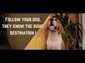 PET CITY IS YOUR DESTINATION PET CITY PONDICHERRY