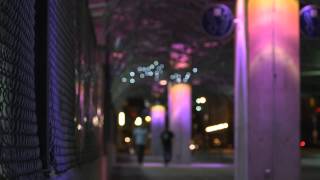 Swarm Welcome - Indianapolis Cultural Trail&#39;s Swarm Street Opens