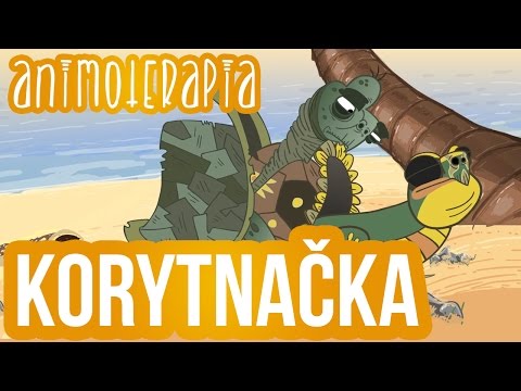 Animoterapia - 12 : Korytnačka