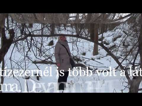 Vidámpark a múltból - Dunaújvárosi vidámpark 1952 - 1993