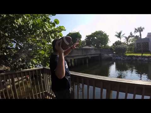 19 BY 10p h 264 final cut pro no borders 1 1