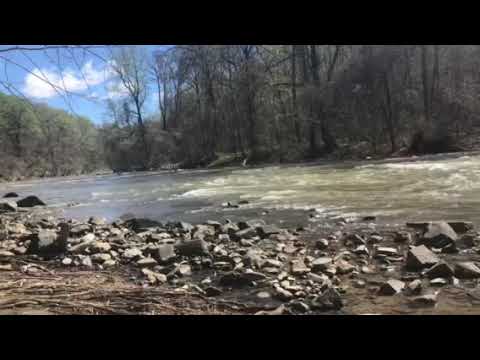 Short video of the river