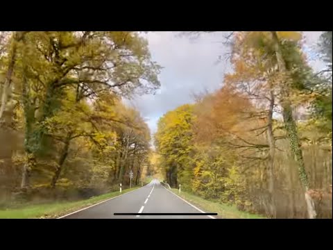 Germany 🇩🇪 outside Wittlich town