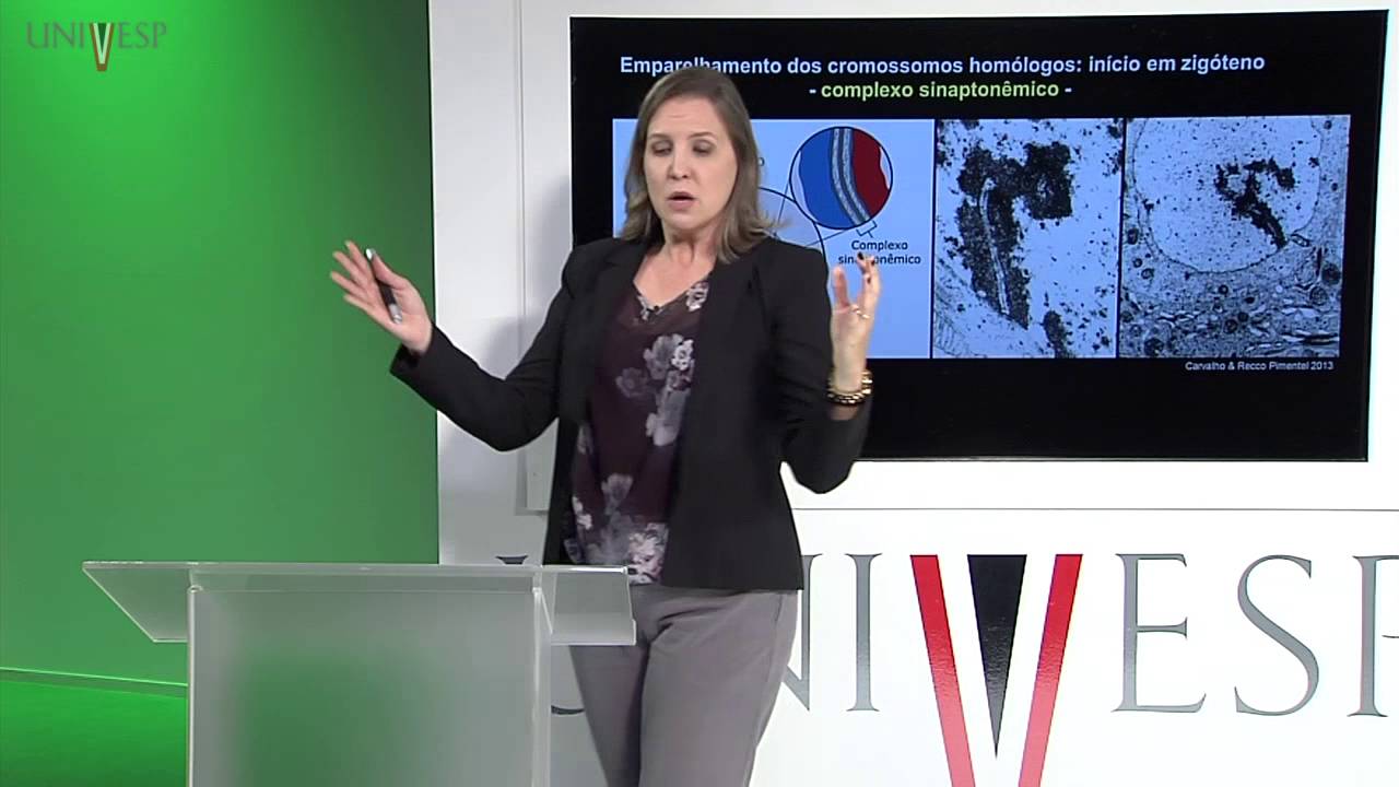 Células e Tecidos - aula 15 - Meiose