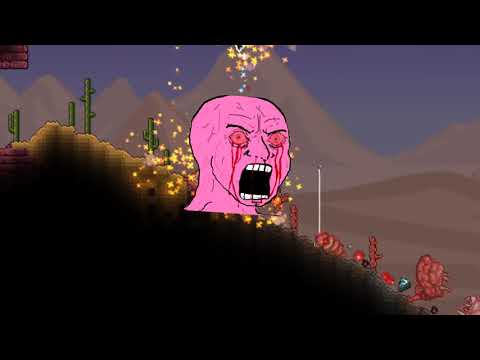 The Future Of The Calamity Mod and Terraria Modding !