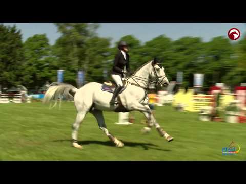 Impressionen Pferd International München 2017