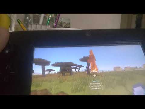 One reason why Minecraft on the Wii U is better than the switch version.