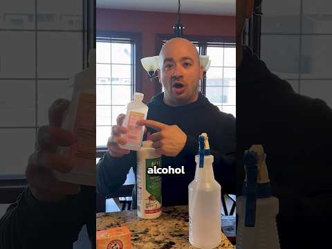 How to Get Rid of Bedbugs at Home DIY