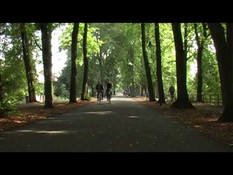 Radschläge Münster