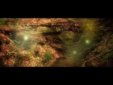 Chorea Lux - just married (official music clip)