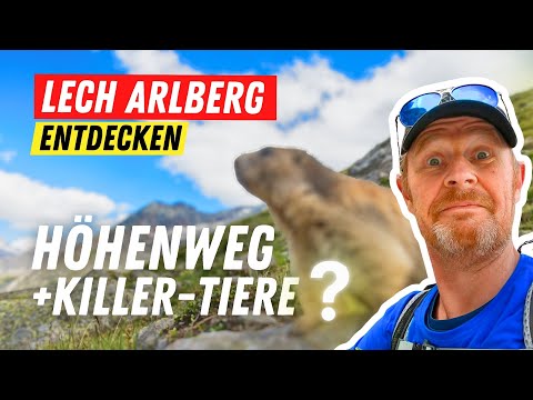 Premium-Wanderweg im Lechtal 👍 vom Rüfikopf nach Steeg - so schön 🤩🥾