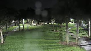 Florida · Cinquez Dog Park · East live stream