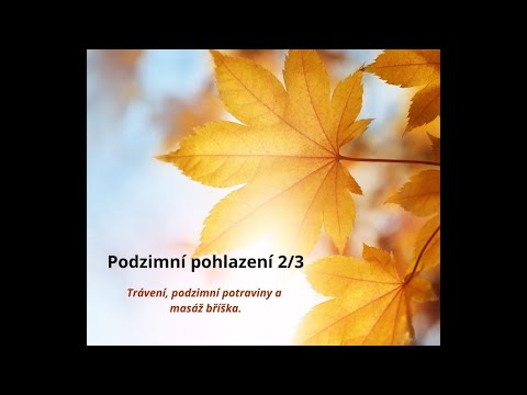 Podzimní pohlazení 2/3 — jak o sebe pečovat teď na podzim