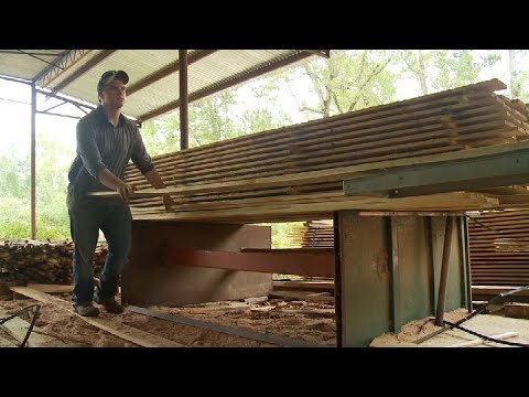 LIFE IN THE LOGWOODS: The East Texas Timber Legacy | NETA