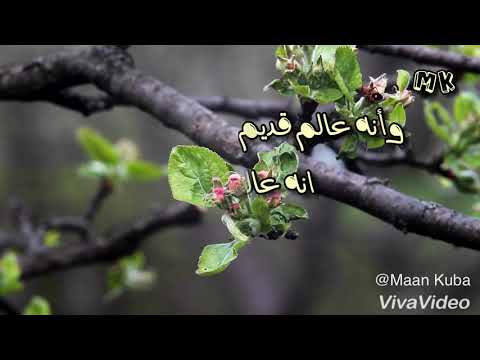 Michael Bublé - Feeling Good - Arabic translate lyric